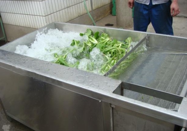 Vegetable Washing Machine