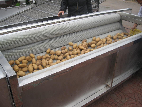 Potato, Jujube and Shepherd’s Purse Washing Machine